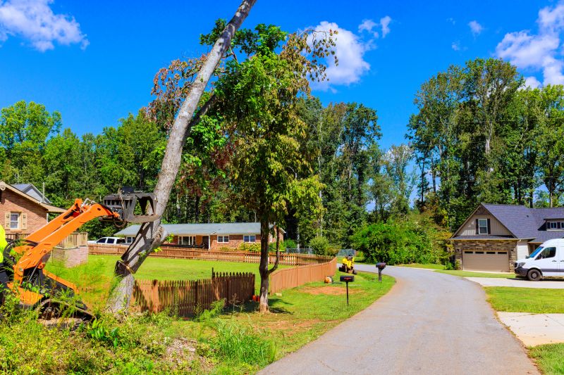 Cleanup After Removal