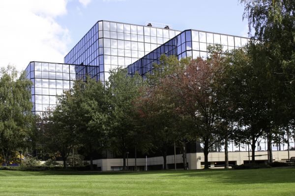 Commercial Tree Trimming in Jonesboro